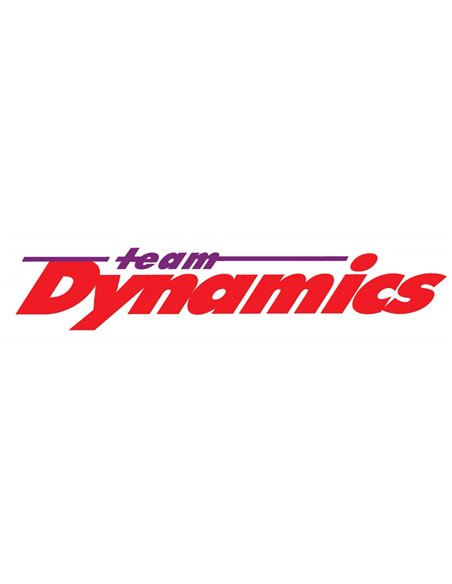 TEAM DYNAMICS