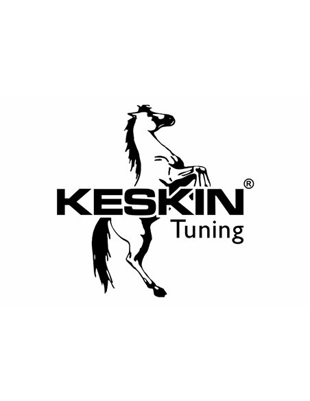 KESKIN
